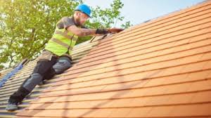 Best Sheet Metal Roofing  in Maple Park, IL