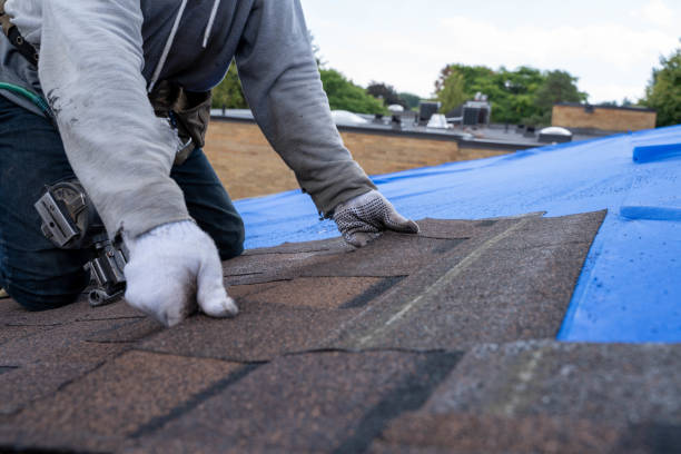 Best Roof Coating Services  in Maple Park, IL