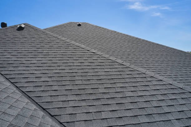Best Rubber Roofing (EPDM, TPO)  in Maple Park, IL